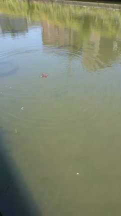 T's工房 入荷！✨ | Fish! tackle shopのブログ