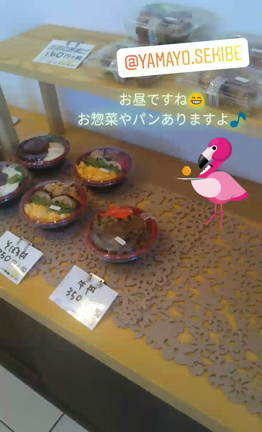 2020.11.21  お昼ですね～✨の記事動画