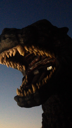 歌舞伎町何かとお騒がせしてすみませんの記事動画