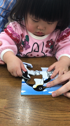 0歳・1歳・2歳・3歳児までの親子クラス～参加者募集！！の記事動画