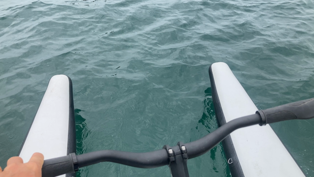 逗子夏日の記事動画