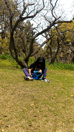 ソリ！の記事動画