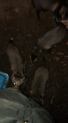 無事、町田市民ホールでのイベント終了致しました！！の記事動画