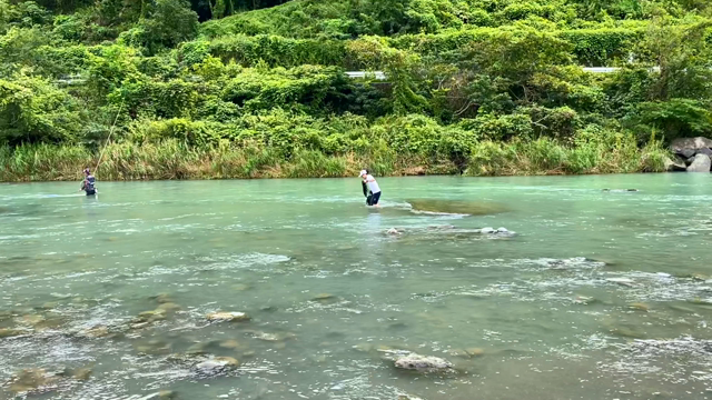川遊び‼️の記事動画