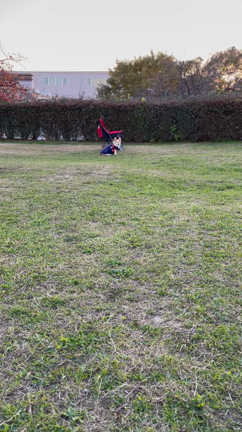 これさえあれば☺️の記事動画