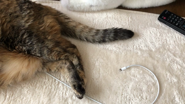 長いお休みも終わって…の記事動画