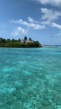 モルディブ旅行2019 11日目①の記事動画