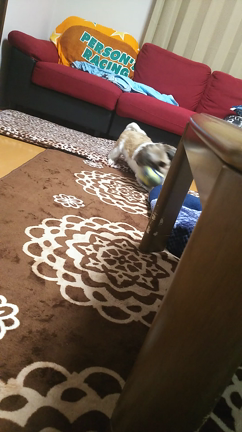 もう10月の記事動画