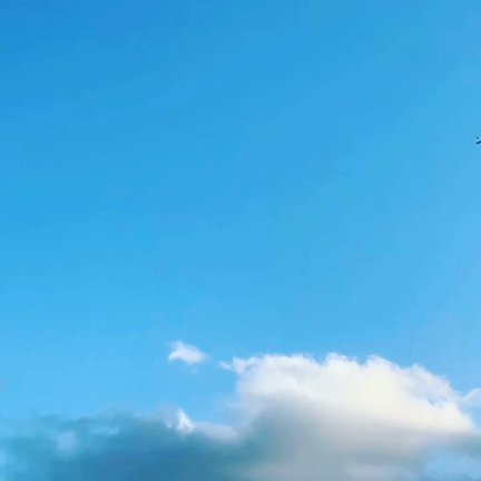 Merry Christmas ☆　スペシャルなInstagramの記事動画