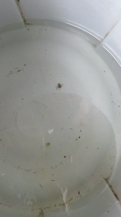 ん？の記事動画