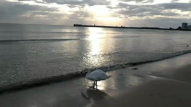 こんな時だからこそ♡の記事動画