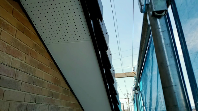 雨養生の記事動画