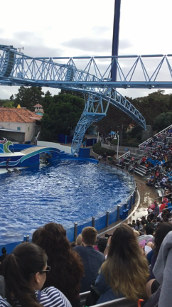 サンディエゴ旅 1日目 その3　シーワールドの記事動画