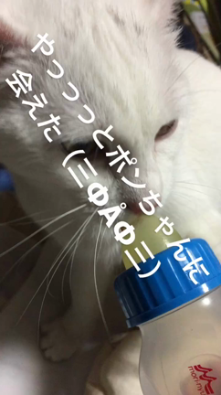 新年☺︎の記事動画