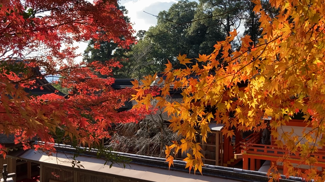 働けることに感謝！の記事動画