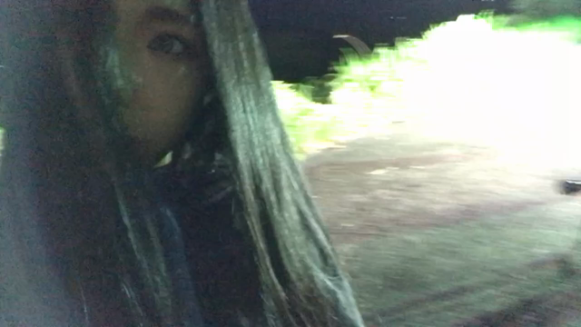 【山形県】オオクワ採集【蛾】の記事動画