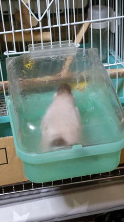 じんぱちの記事動画