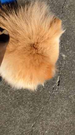 #今日のおやつはこれ　思いの外忙しかったの記事動画