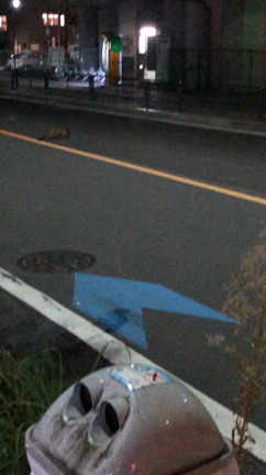 未確認生物！？の記事動画