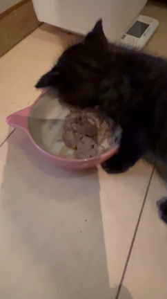 ＊届け！皆さんの思い〜6月の記事動画