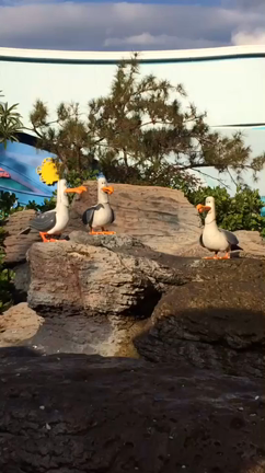 ファインディング・ドリーの記事動画