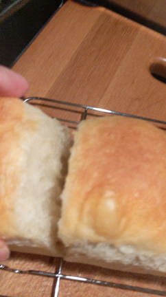 春よ来いの後継者の記事動画