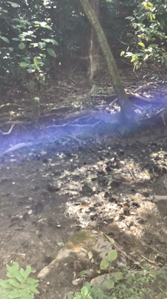 2021年に起こった私の『あわうた』ミラクル〜clubhouseのご縁にて④〜の記事動画