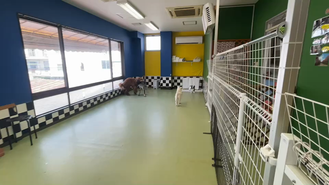 7月25日(月)♪♪の記事動画