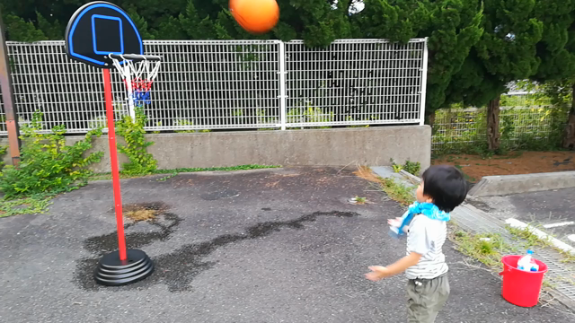 ４歳の記事動画