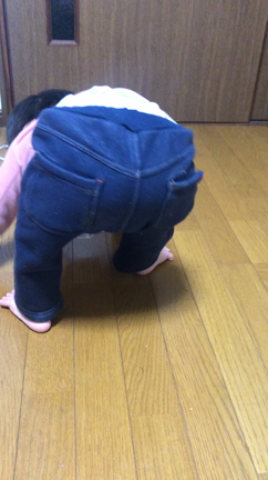 タッチの記事動画