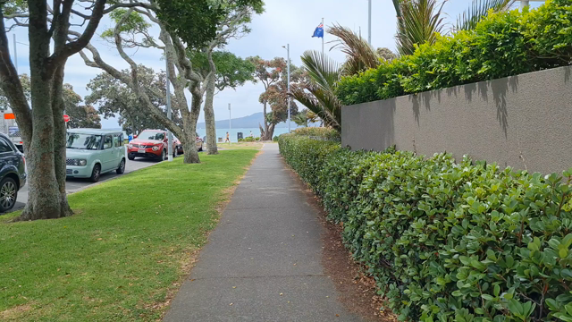 ポフツカワはニュージーランドのクリスマスツリーの記事動画