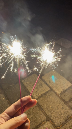 ☆第39話 久々のー。☆の記事動画