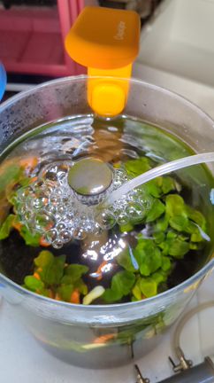 本日の営業の記事動画