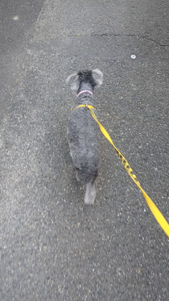 夏のはじまり　宜しくです。の記事動画