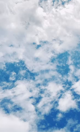 フラワーシャワーの記事動画