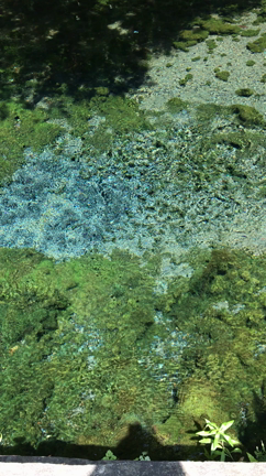 母とお出かけ⓶の記事動画