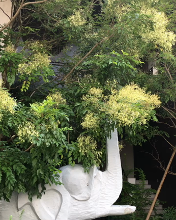 爆音 大合唱！！！凄過ぎるwの記事動画