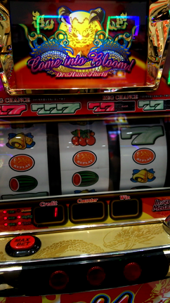 ⬛稼働報告⬛6月25日(日)～7月13日(木)趣味打ち！の記事動画