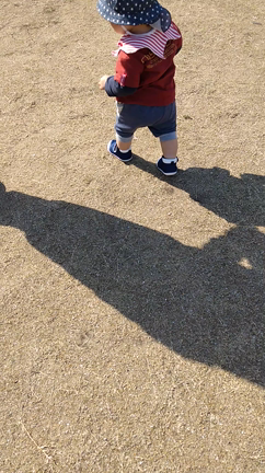 歩く歩くの記事動画