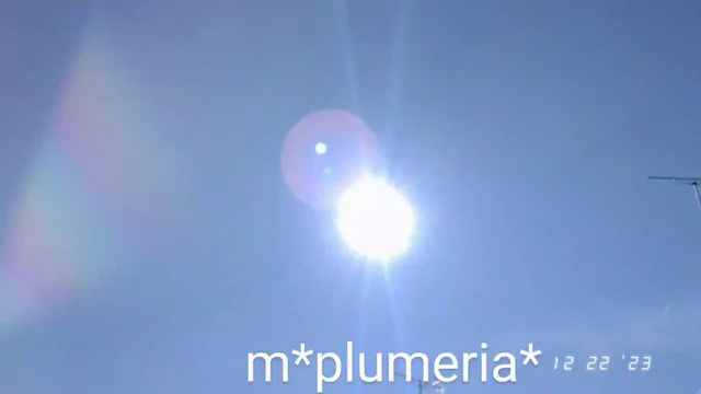 冬至の記事動画