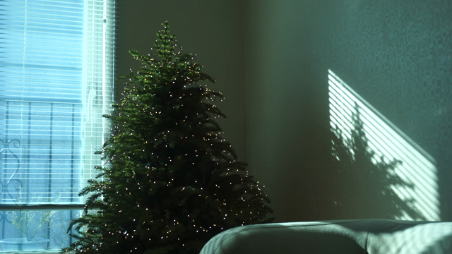 お気に入りのクリスマスツリーの記事動画