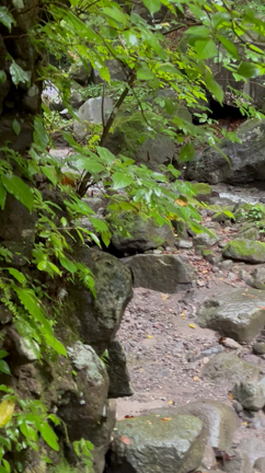 滝巡りの記事動画