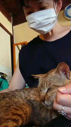 ゴロちゃん【アニコミご感想】言葉で伝えていただくことで、残された家族は救われる。”の記事動画