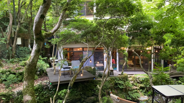 お昼はハンバーガーの記事動画