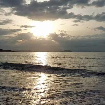 本格的な春の到来の記事動画