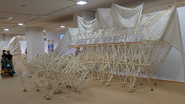 生き物のような動きをまじかで見られる　～テオ・ヤンセン展2022（大阪）回顧録の記事動画