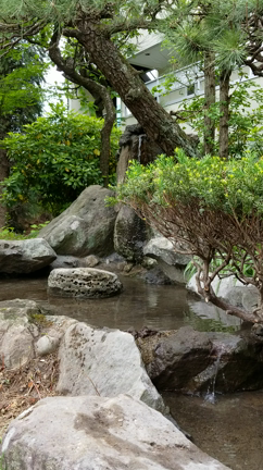 せせらぎの記事動画