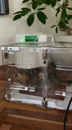 猫用　酸素ハウス導入　の記事動画