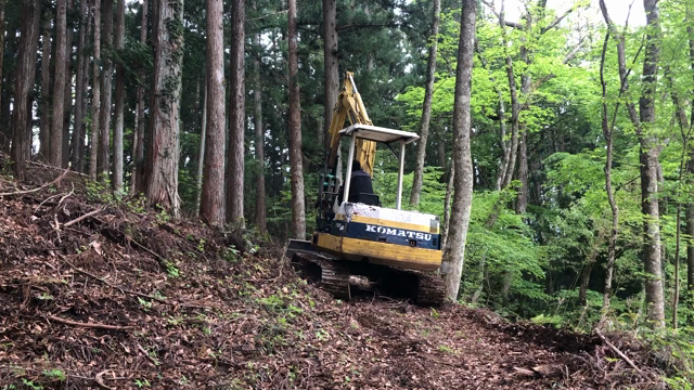 裏水の元キャンプ場|　|д･) ｿｫｰｯ…の記事動画