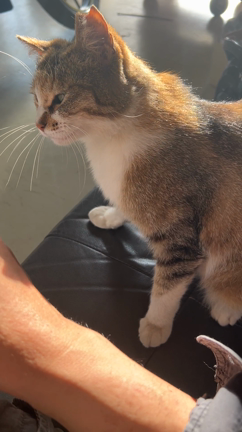 出会ってから一年の記事動画